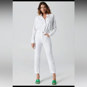 Aritzia -Denim Forum- The Boyfriend High Rise Loose 28L